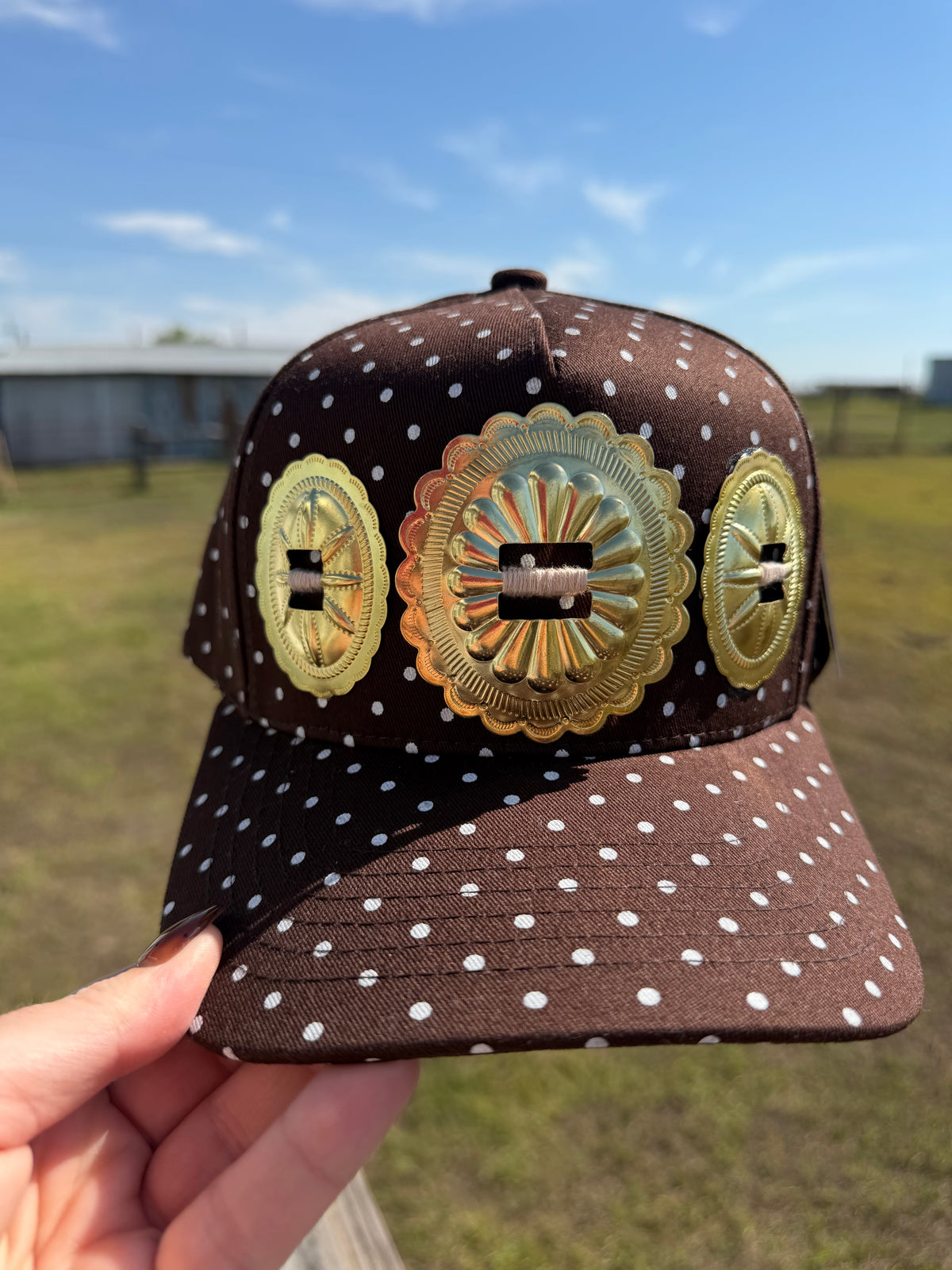 Brown polka dot with gold
