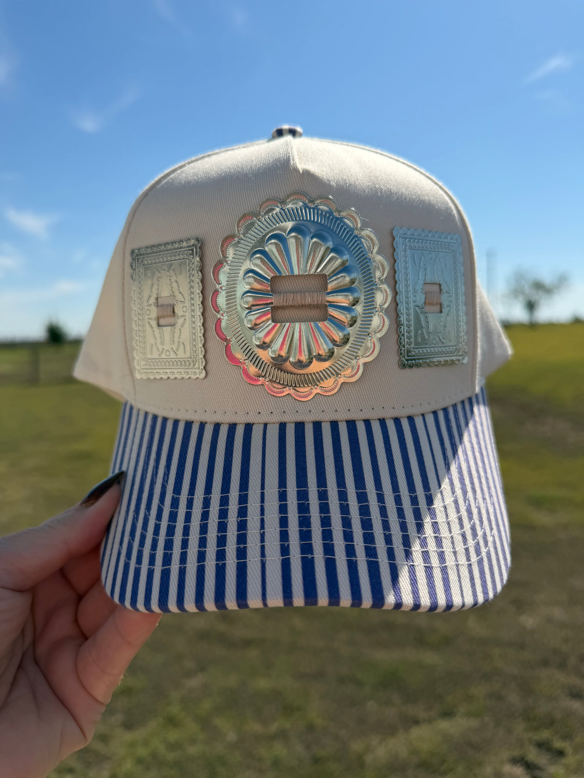 Purple stripes & silver hat